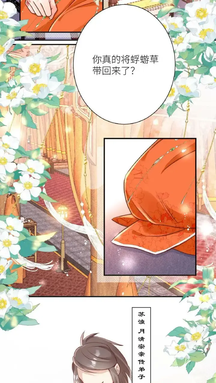 漫画《小师妹明明超强却过分沙雕》第1话 穿书炮灰今天开始摆烂了第3张图