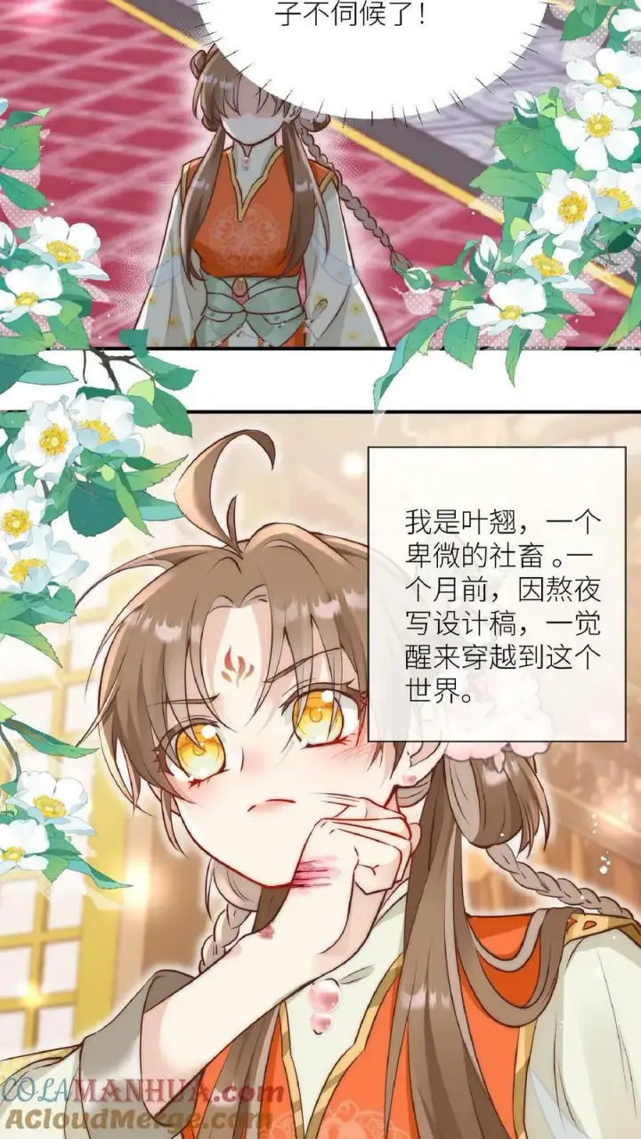 漫画《小师妹明明超强却过分沙雕》第1话 穿书炮灰今天开始摆烂了第37张图