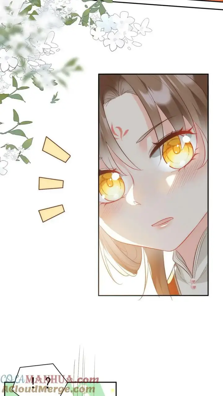 漫画《小师妹明明超强却过分沙雕》第2话 只有我受伤的世界第37张图