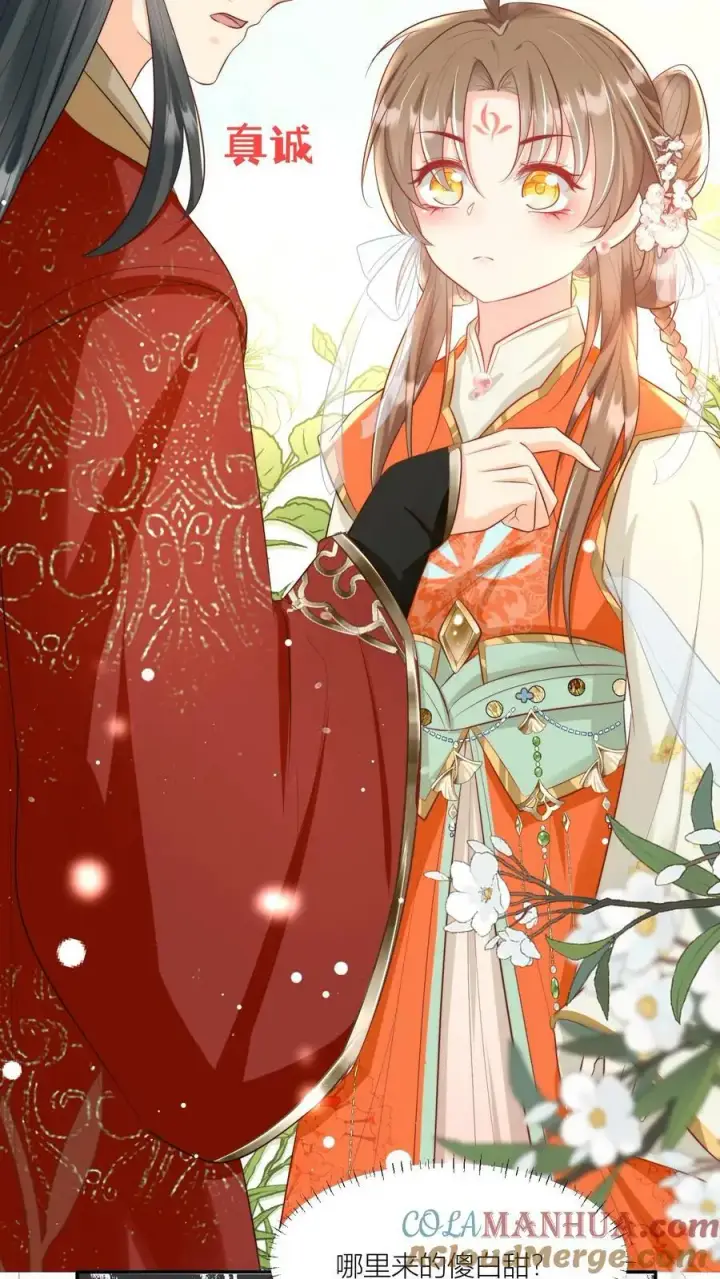 漫画《小师妹明明超强却过分沙雕》第3话 哪来的珍稀傻白甜？第15张图