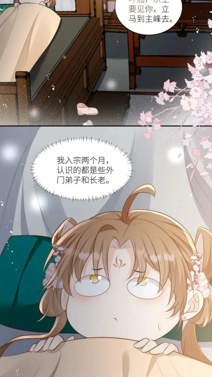 《小师妹明明超强却过分沙雕》第11话 我造了什么孽要去做亲传？图10