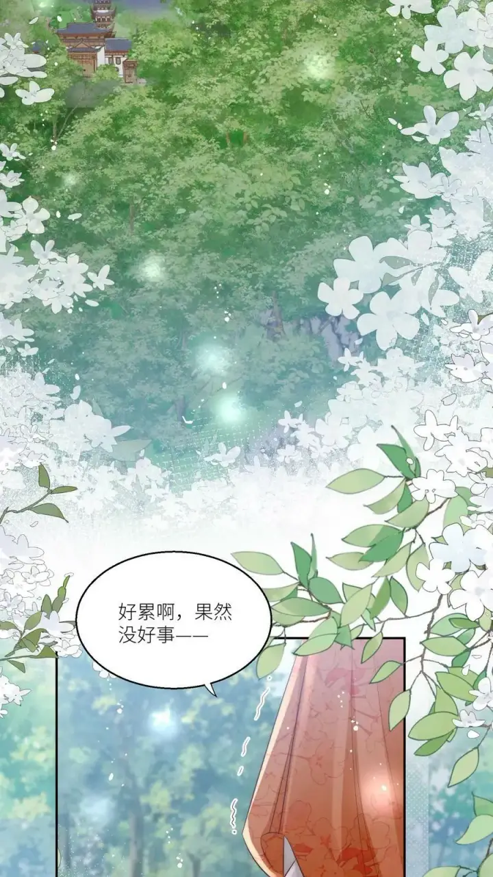 《小师妹明明超强却过分沙雕》第11话 我造了什么孽要去做亲传？图12