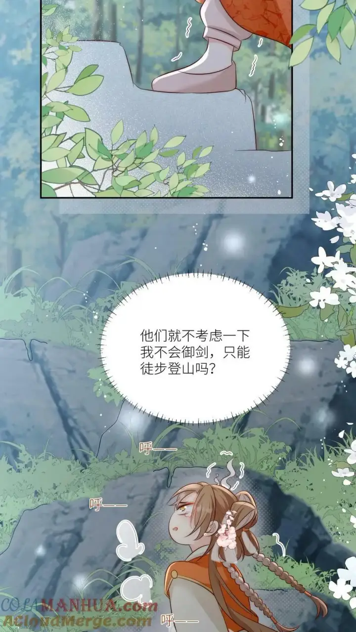 《小师妹明明超强却过分沙雕》第11话 我造了什么孽要去做亲传？图13