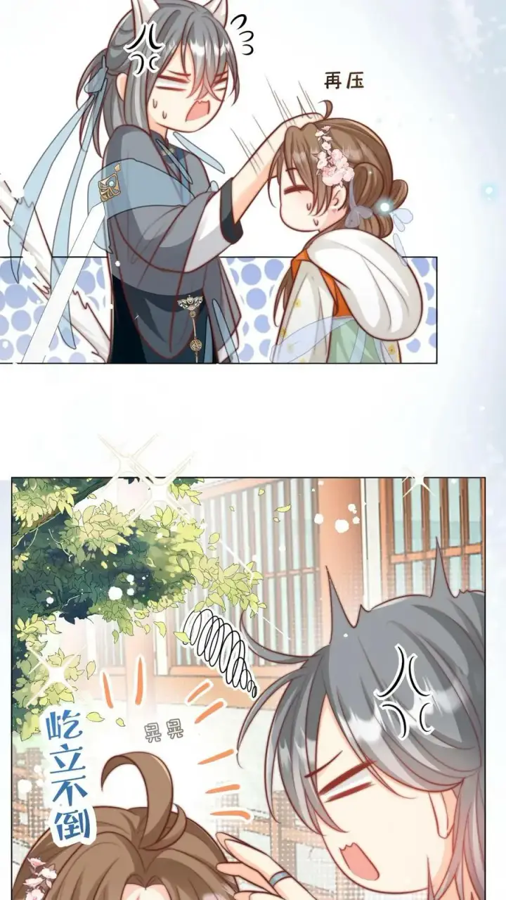 《小师妹明明超强却过分沙雕》第13话 大师兄有强迫症图18