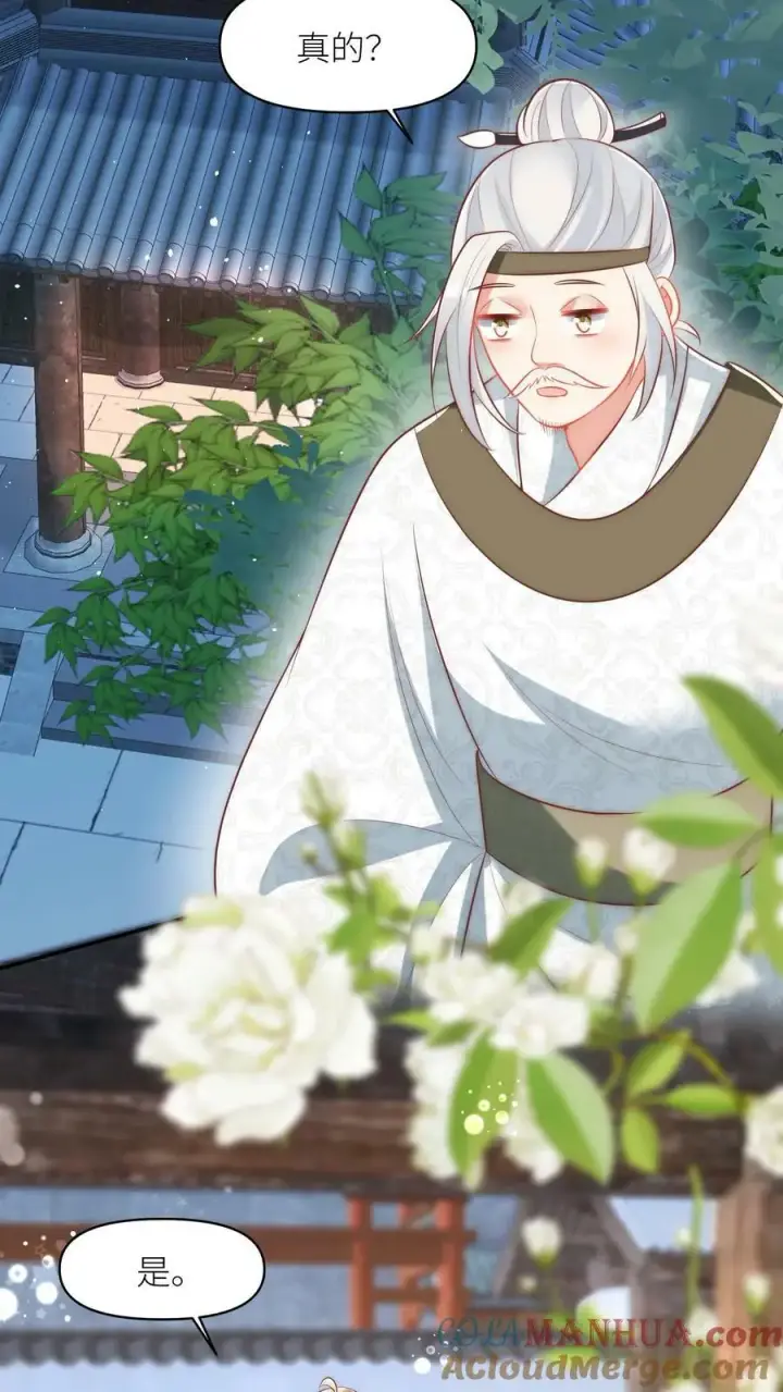 《小师妹明明超强却过分沙雕》第21话 我的师兄妹们终于疯了图3