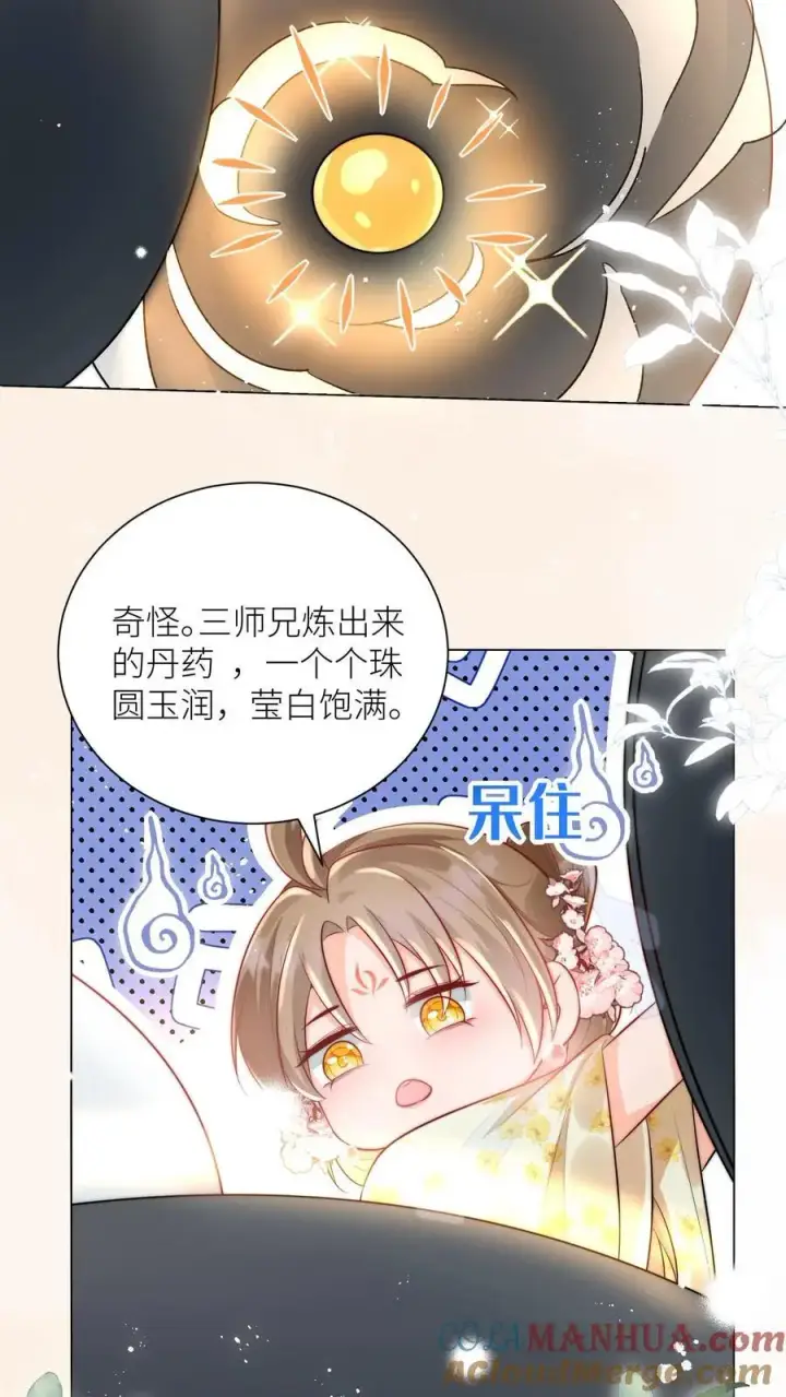 《小师妹明明超强却过分沙雕》第26话 螺蛳粉味的丹药真带劲图15