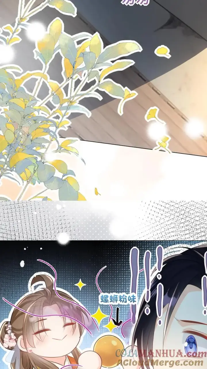 《小师妹明明超强却过分沙雕》第26话 螺蛳粉味的丹药真带劲图25