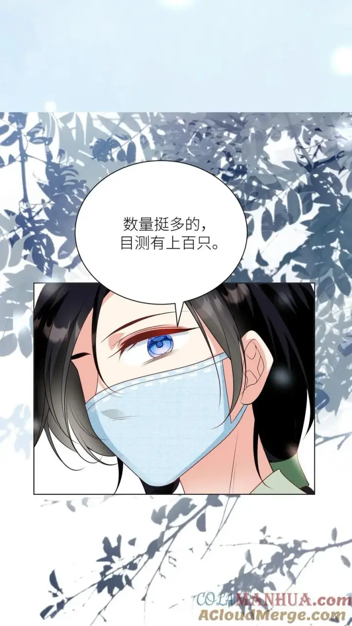 《小师妹明明超强却过分沙雕》第39话 跟着师妹趁火打劫真爽啊！图17