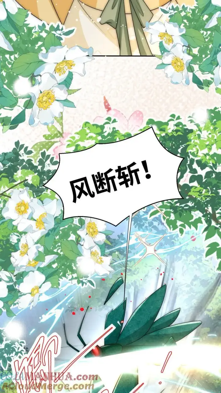 《小师妹明明超强却过分沙雕》第41话 叶翘是个平平无奇的天才图11
