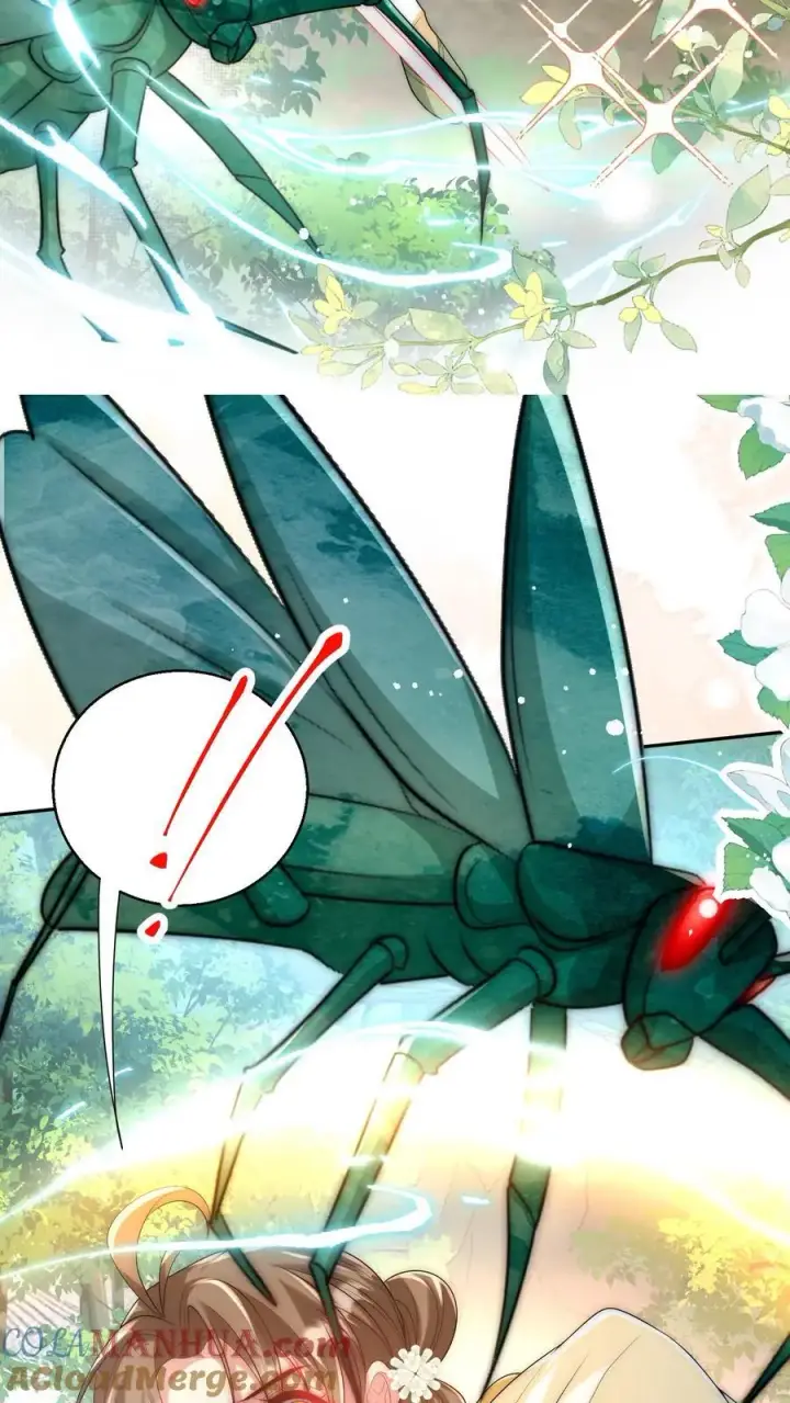 《小师妹明明超强却过分沙雕》第41话 叶翘是个平平无奇的天才图7