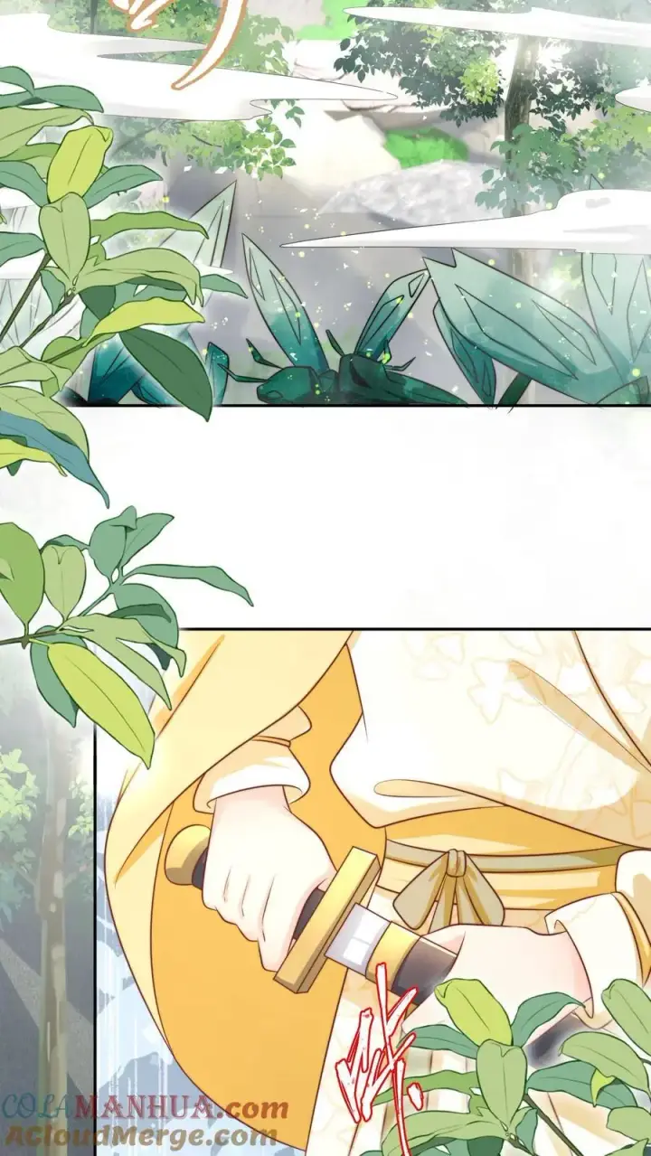 《小师妹明明超强却过分沙雕》第42话 我的小师妹太厉害图11