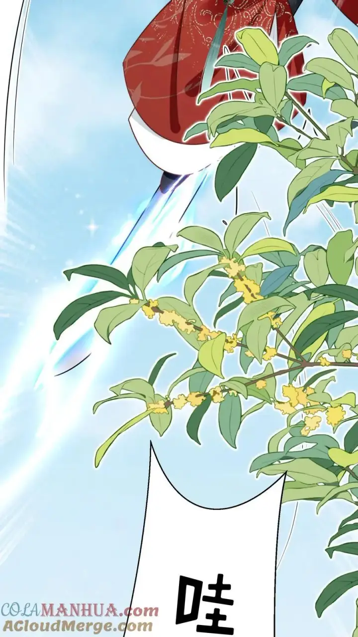 漫画《小师妹明明超强却过分沙雕》第50话 二三CP已拆，三四CP出道第19张图