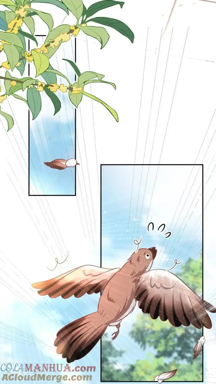漫画《小师妹明明超强却过分沙雕》第50话 二三CP已拆，三四CP出道第7张图