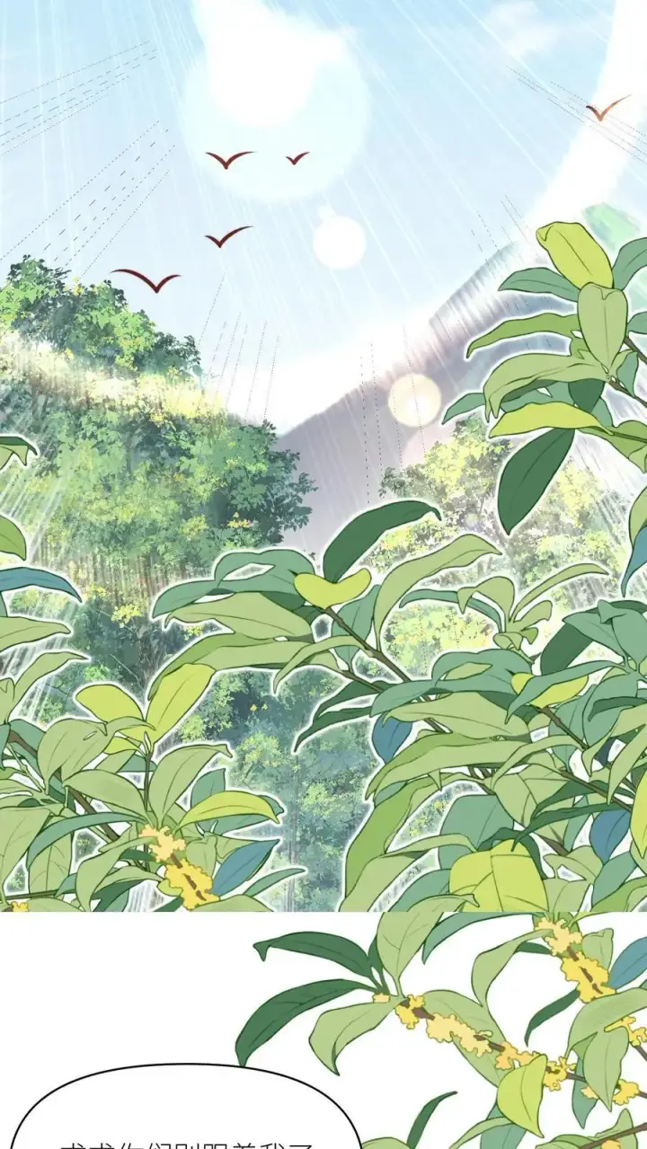 漫画《小师妹明明超强却过分沙雕》第50话 二三CP已拆，三四CP出道第8张图