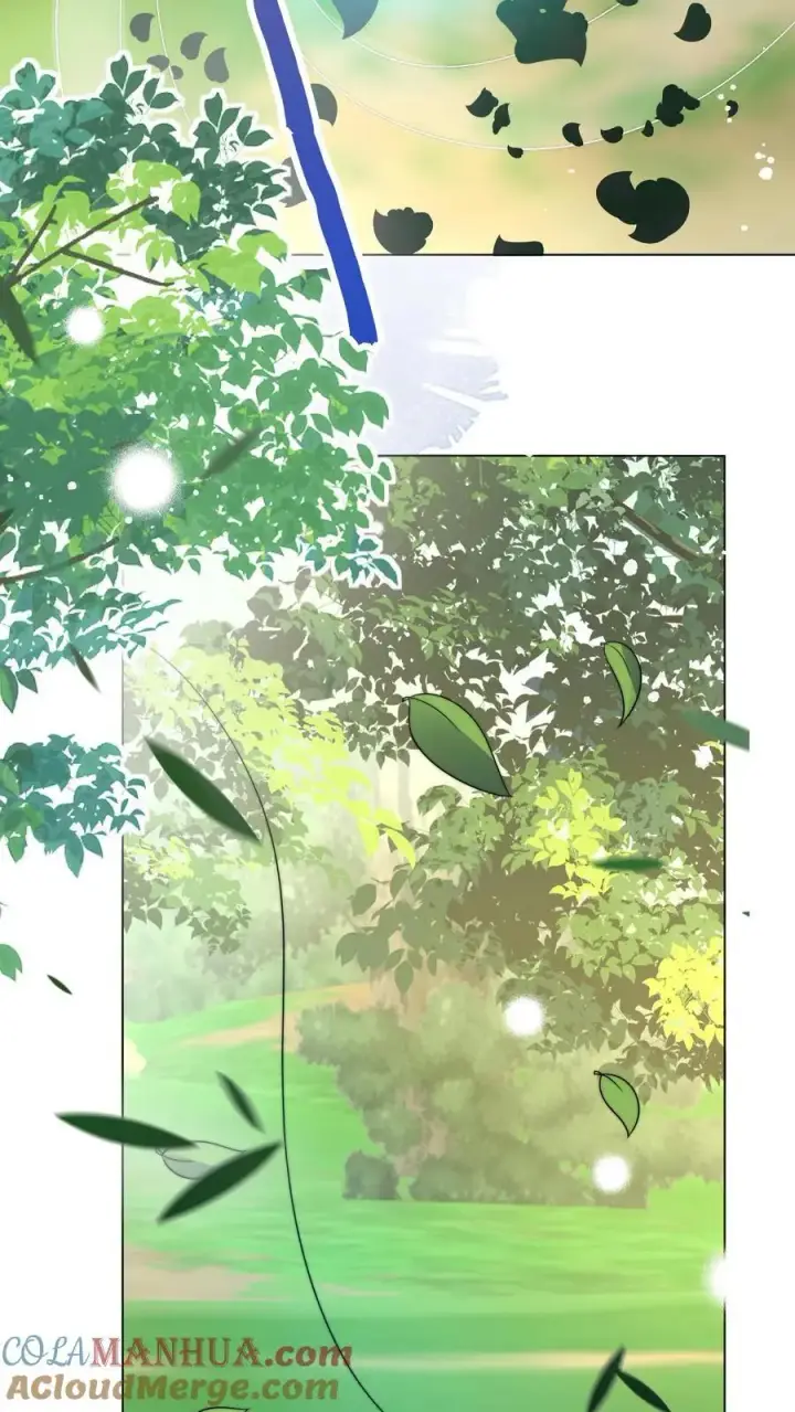《小师妹明明超强却过分沙雕》第52话 给可怜的符修和剑修一条活路吧图13