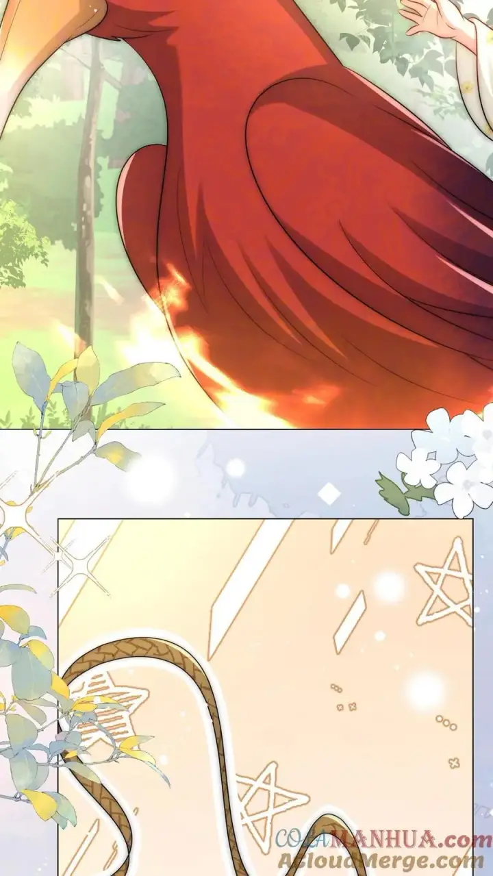 漫画《小师妹明明超强却过分沙雕》第56话 卖妖兽的可持续发展计划第11张图