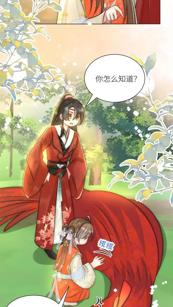 漫画《小师妹明明超强却过分沙雕》第56话 卖妖兽的可持续发展计划第20张图