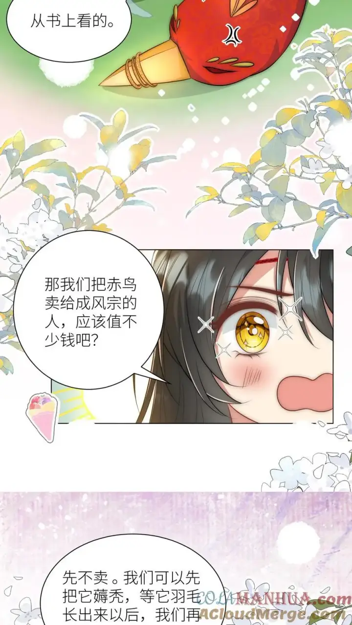 漫画《小师妹明明超强却过分沙雕》第56话 卖妖兽的可持续发展计划第21张图