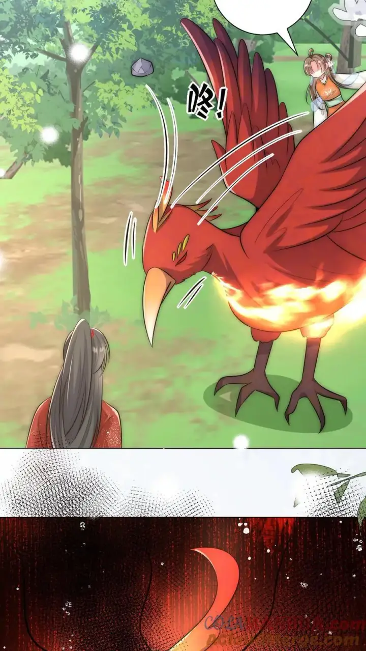 漫画《小师妹明明超强却过分沙雕》第56话 卖妖兽的可持续发展计划第3张图