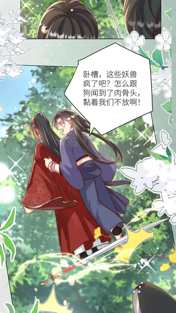 漫画《小师妹明明超强却过分沙雕》第63话 从未被如此坚定地追求过第12张图