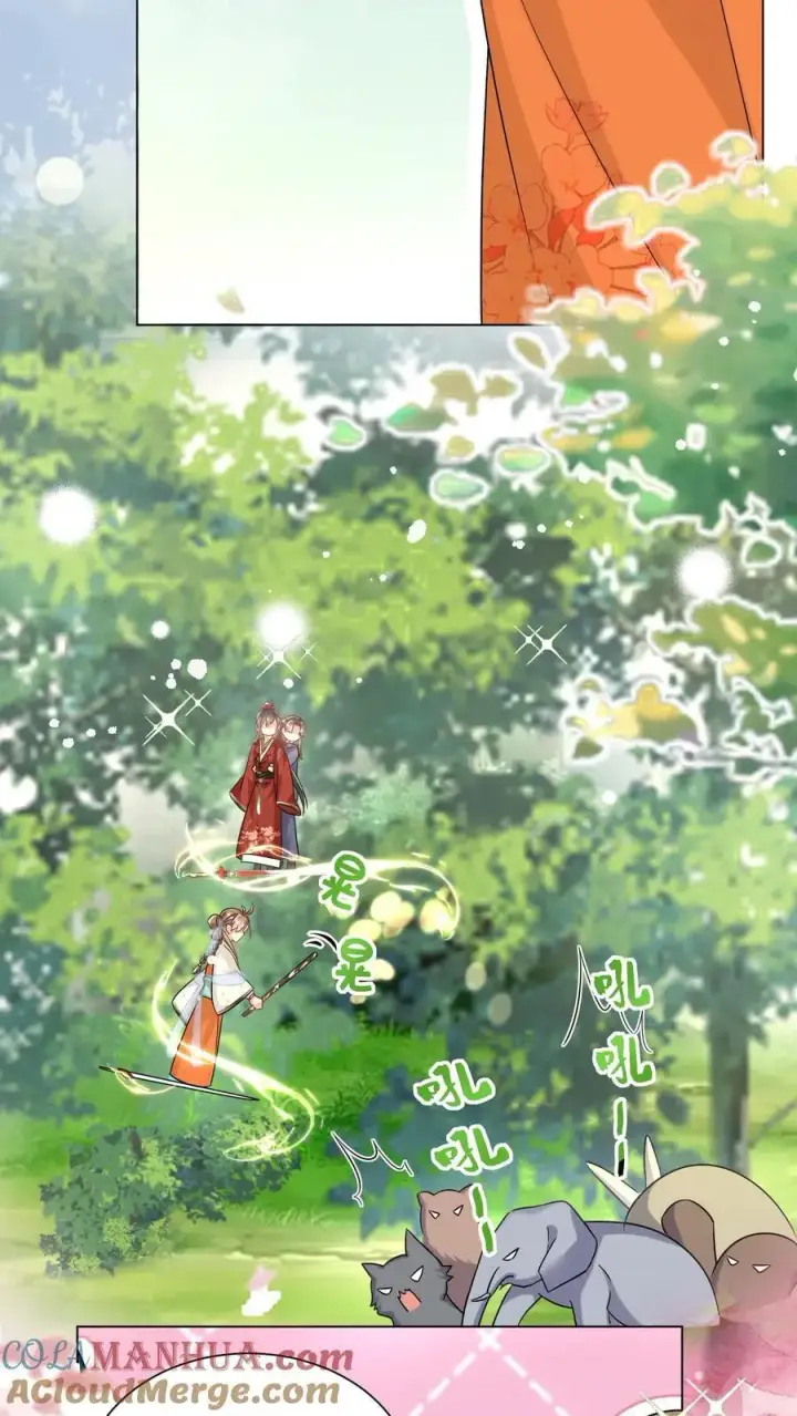 漫画《小师妹明明超强却过分沙雕》第63话 从未被如此坚定地追求过第15张图