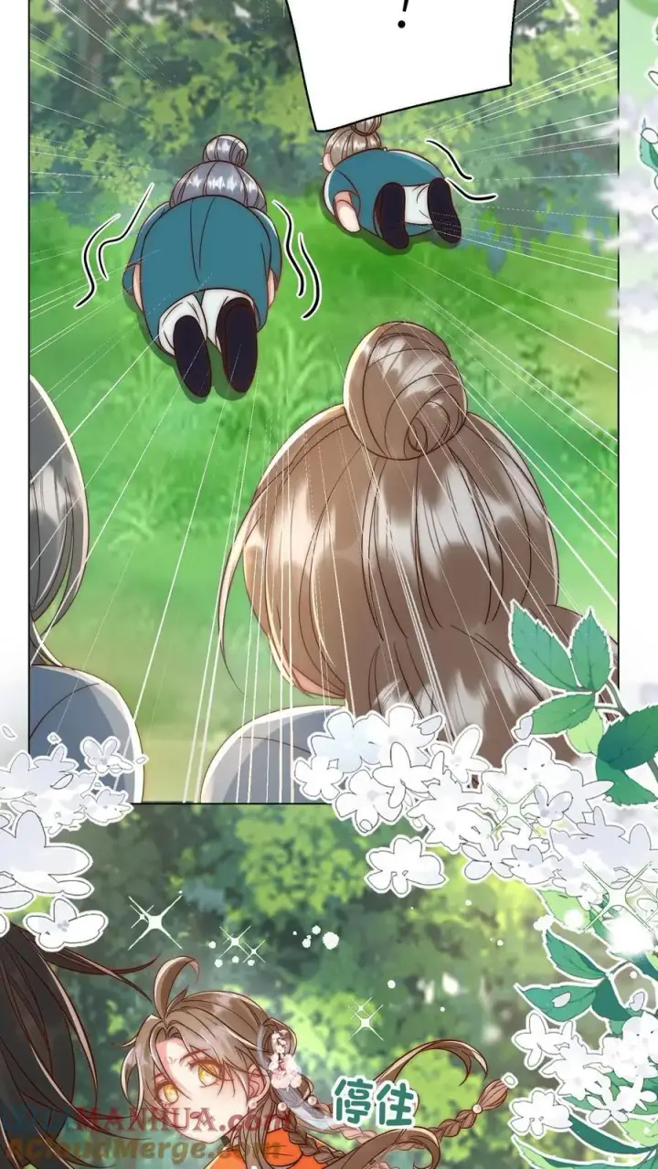 漫画《小师妹明明超强却过分沙雕》第63话 从未被如此坚定地追求过第5张图