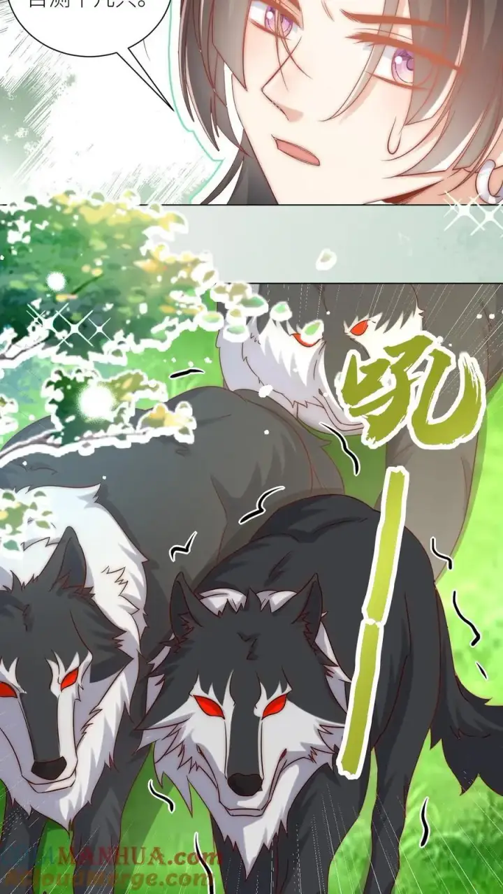 漫画《小师妹明明超强却过分沙雕》第63话 从未被如此坚定地追求过第9张图