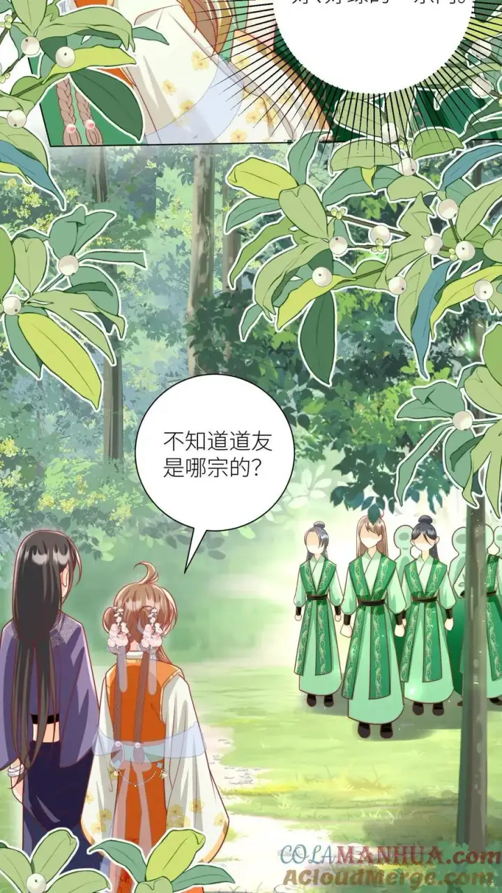 漫画《小师妹明明超强却过分沙雕》第66话 好、好绿的宗门啊！第17张图