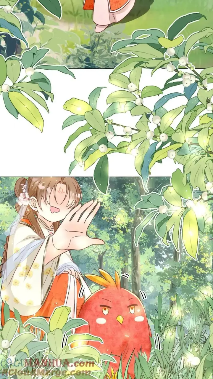 漫画《小师妹明明超强却过分沙雕》第69话 晚餐烤火鸡预定第17张图
