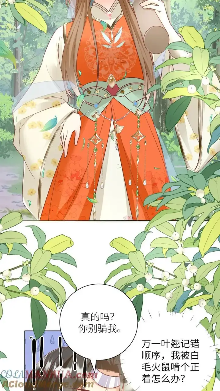 漫画《小师妹明明超强却过分沙雕》第69话 晚餐烤火鸡预定第3张图