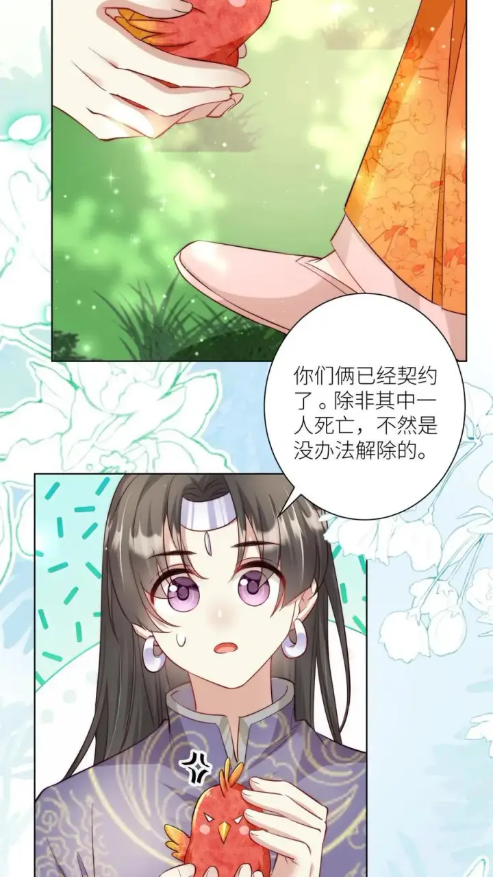漫画《小师妹明明超强却过分沙雕》第70话 鸡要养肥了再吃！第10张图