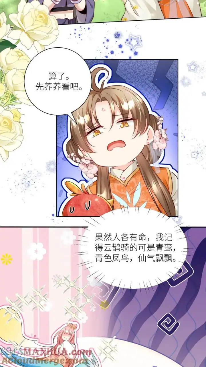 漫画《小师妹明明超强却过分沙雕》第70话 鸡要养肥了再吃！第15张图