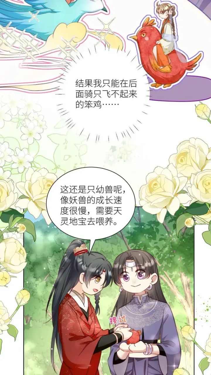 漫画《小师妹明明超强却过分沙雕》第70话 鸡要养肥了再吃！第16张图