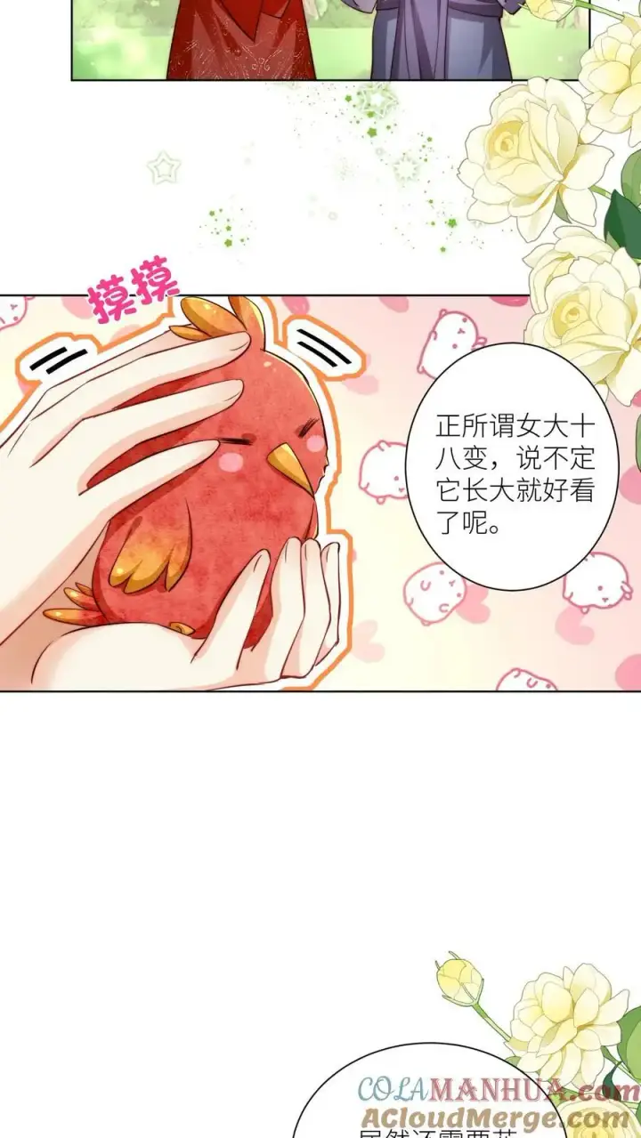 漫画《小师妹明明超强却过分沙雕》第70话 鸡要养肥了再吃！第17张图