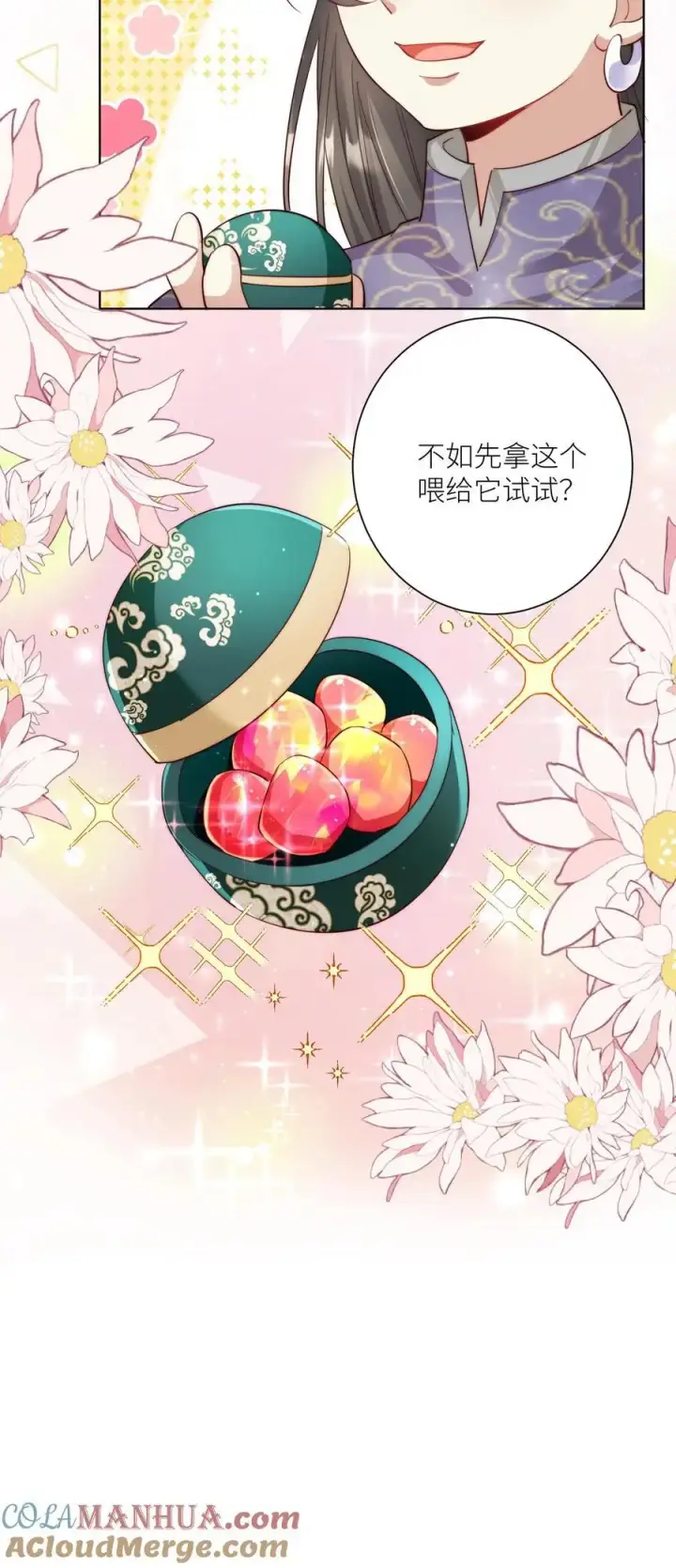 漫画《小师妹明明超强却过分沙雕》第70话 鸡要养肥了再吃！第19张图