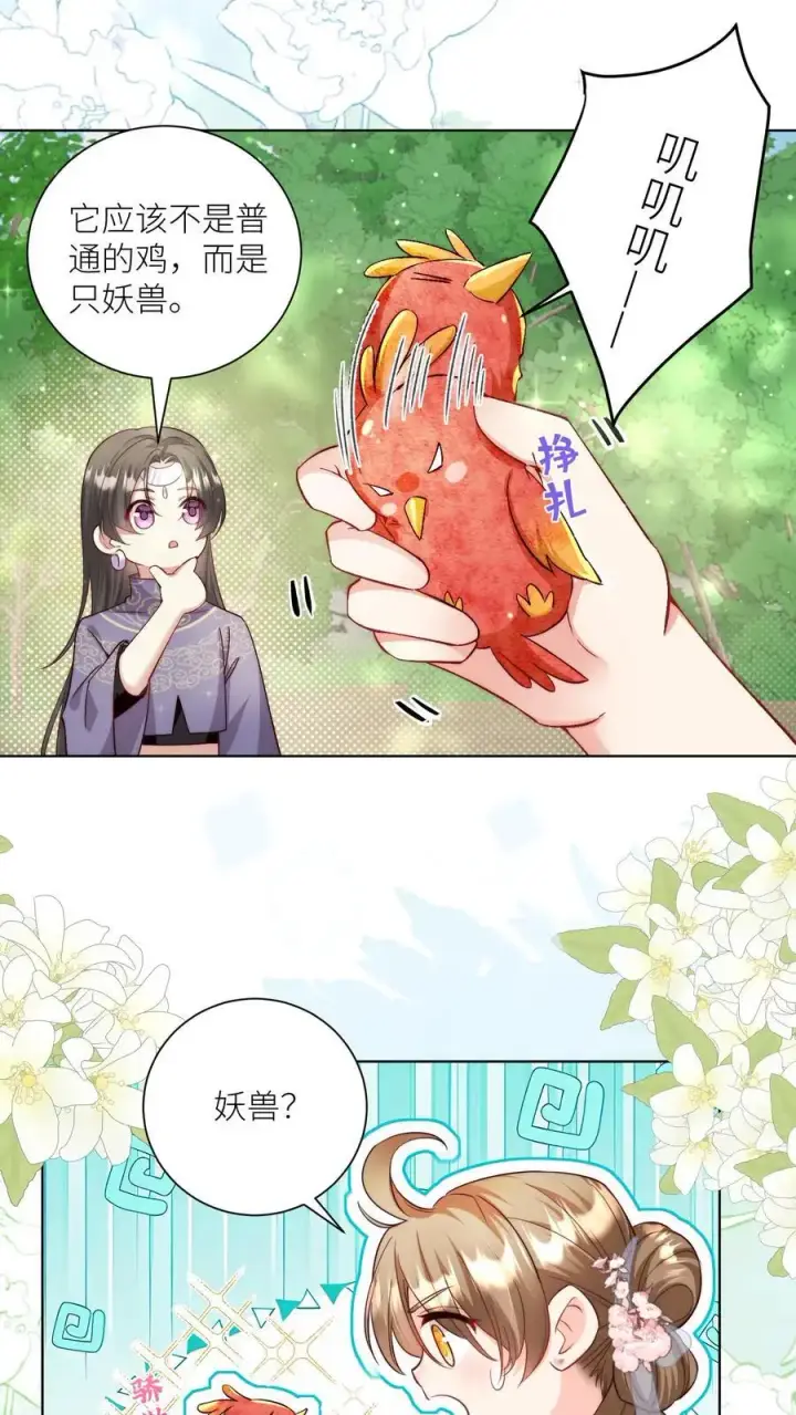 漫画《小师妹明明超强却过分沙雕》第70话 鸡要养肥了再吃！第2张图