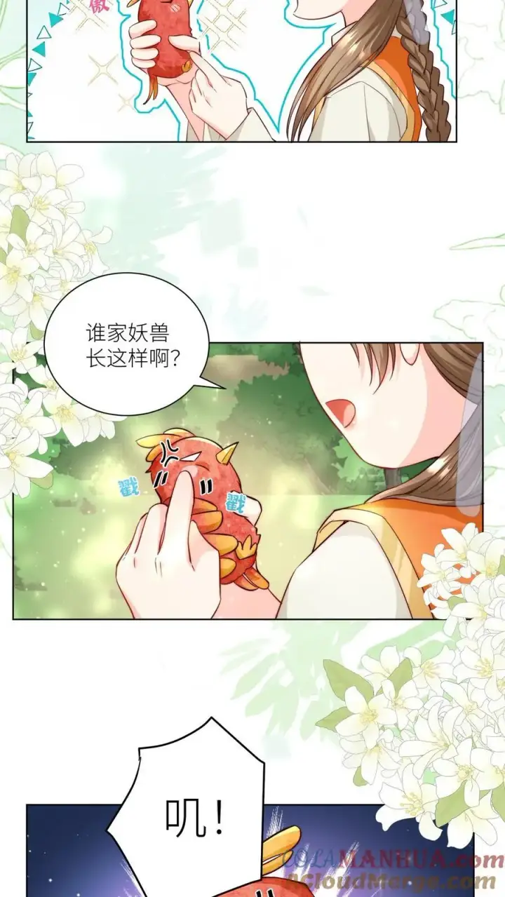 漫画《小师妹明明超强却过分沙雕》第70话 鸡要养肥了再吃！第3张图