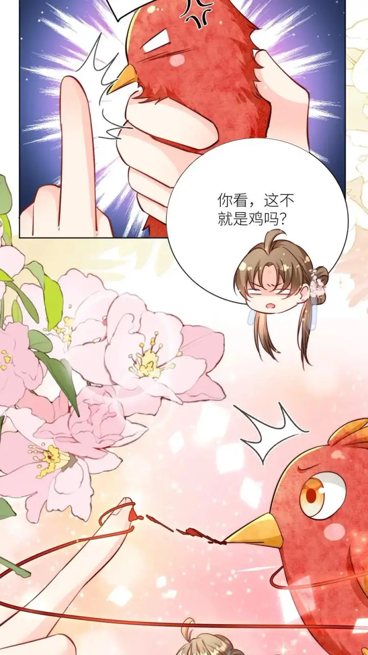 漫画《小师妹明明超强却过分沙雕》第70话 鸡要养肥了再吃！第4张图