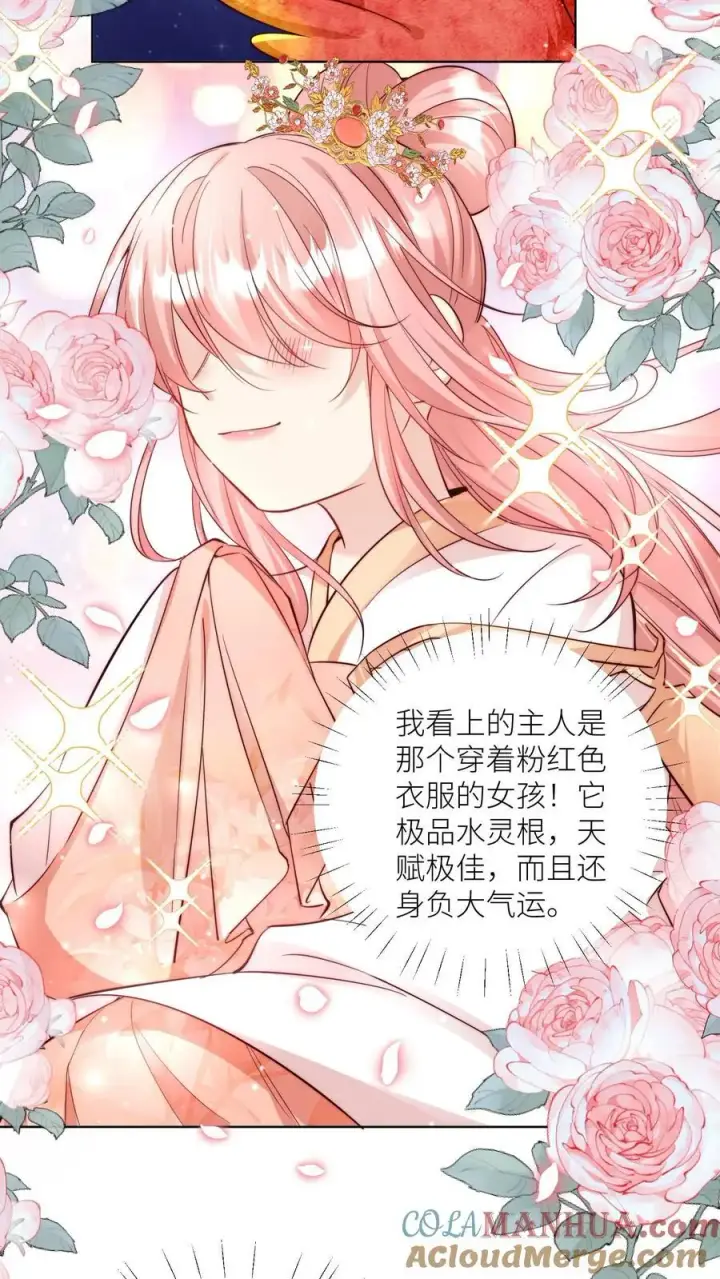 漫画《小师妹明明超强却过分沙雕》第70话 鸡要养肥了再吃！第7张图
