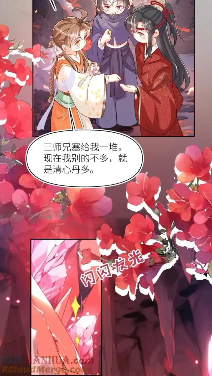 漫画《小师妹明明超强却过分沙雕》第72话 守护兽真的太没有排面了第11张图