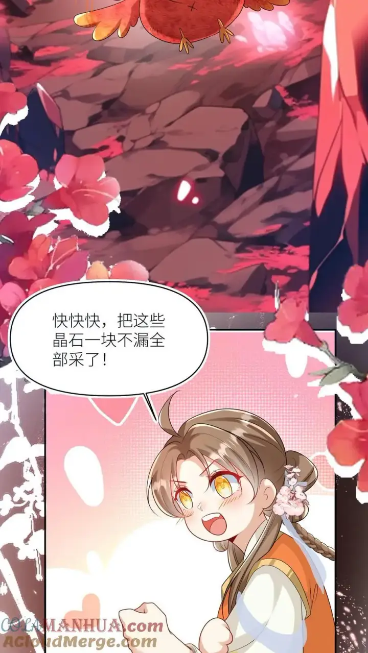 漫画《小师妹明明超强却过分沙雕》第72话 守护兽真的太没有排面了第13张图