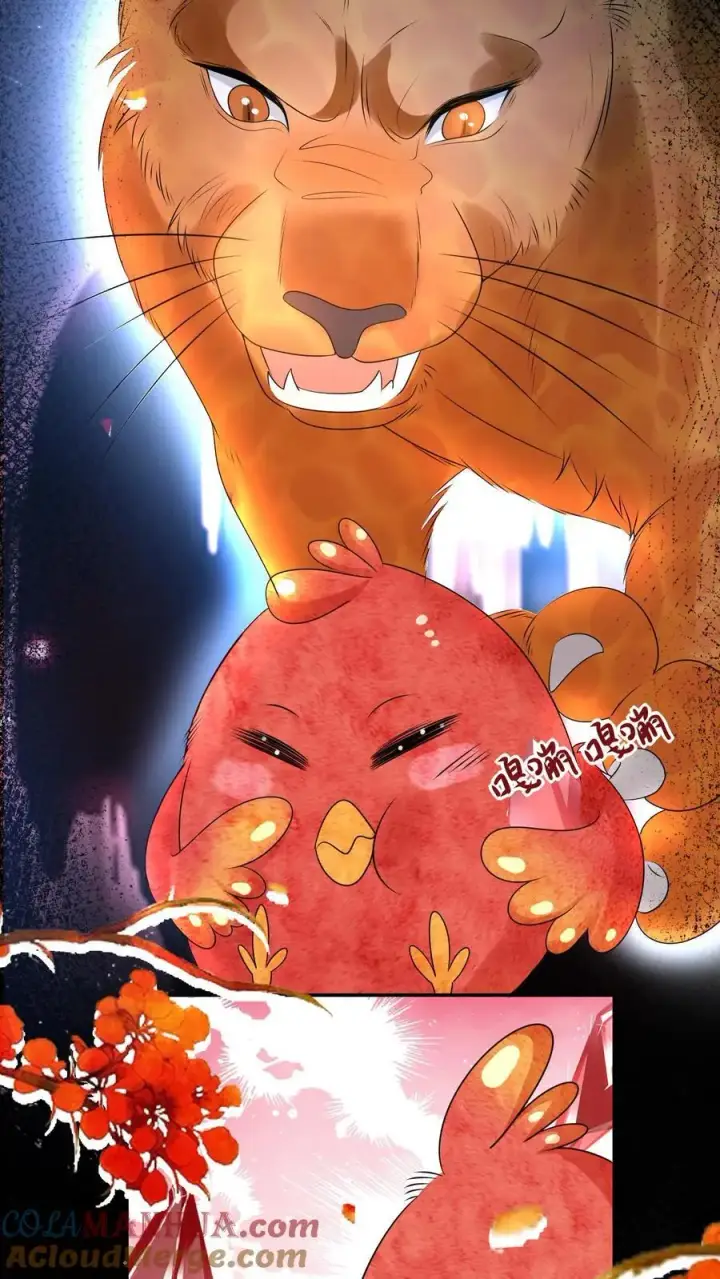 漫画《小师妹明明超强却过分沙雕》第72话 守护兽真的太没有排面了第17张图