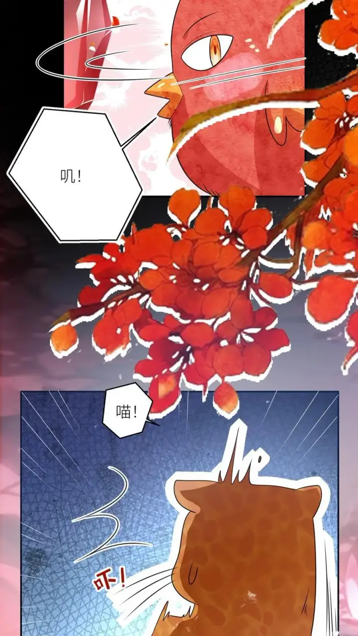 漫画《小师妹明明超强却过分沙雕》第72话 守护兽真的太没有排面了第18张图