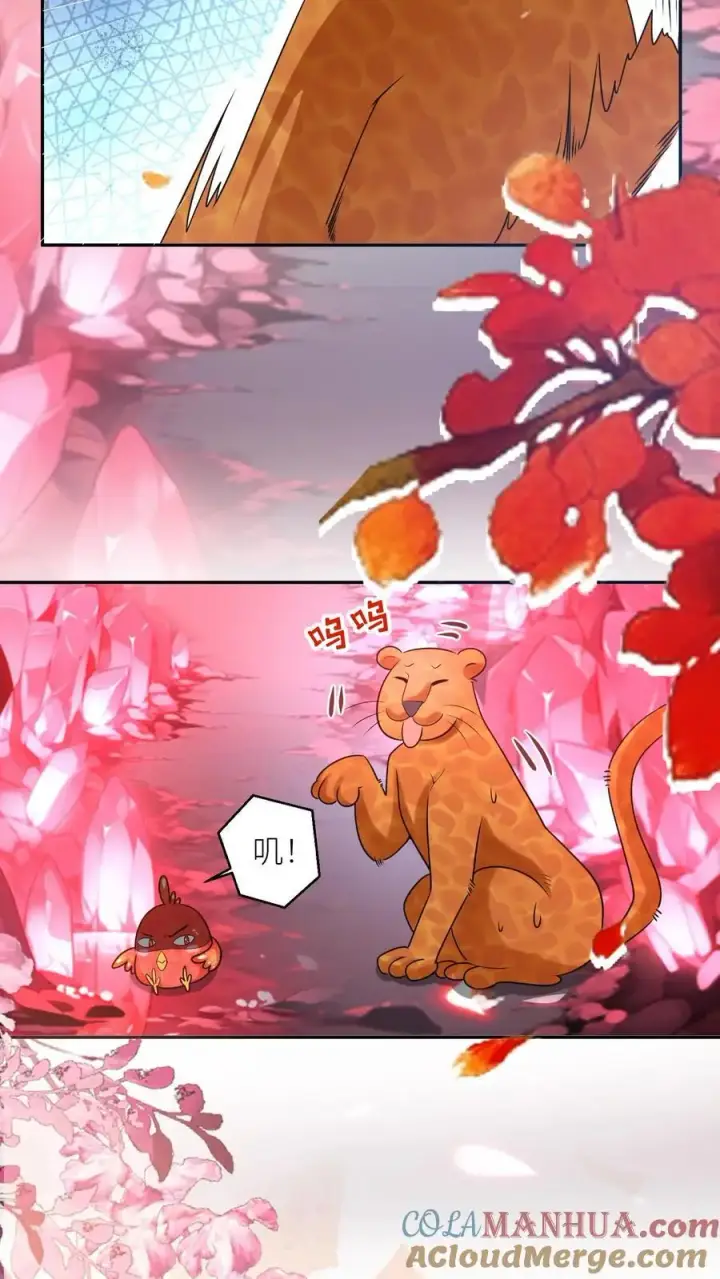 漫画《小师妹明明超强却过分沙雕》第72话 守护兽真的太没有排面了第19张图