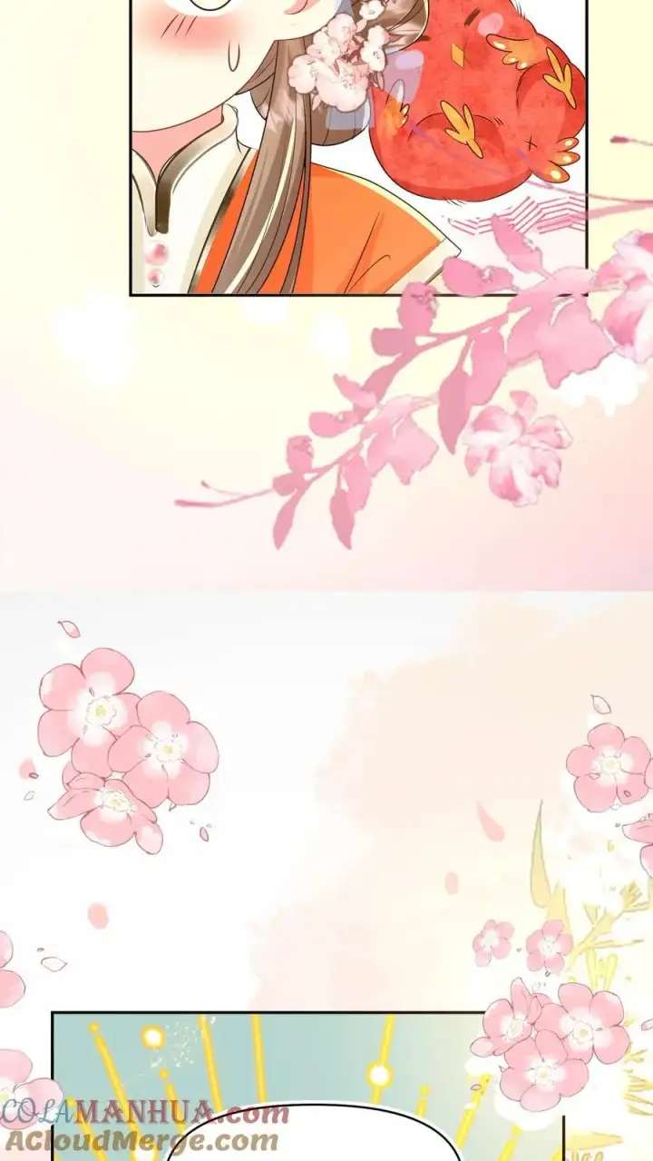 漫画《小师妹明明超强却过分沙雕》第72话 守护兽真的太没有排面了第23张图