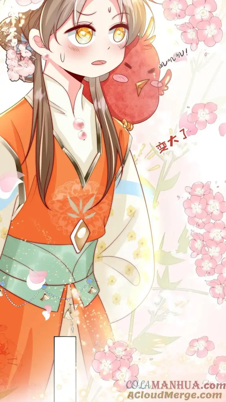漫画《小师妹明明超强却过分沙雕》第72话 守护兽真的太没有排面了第25张图