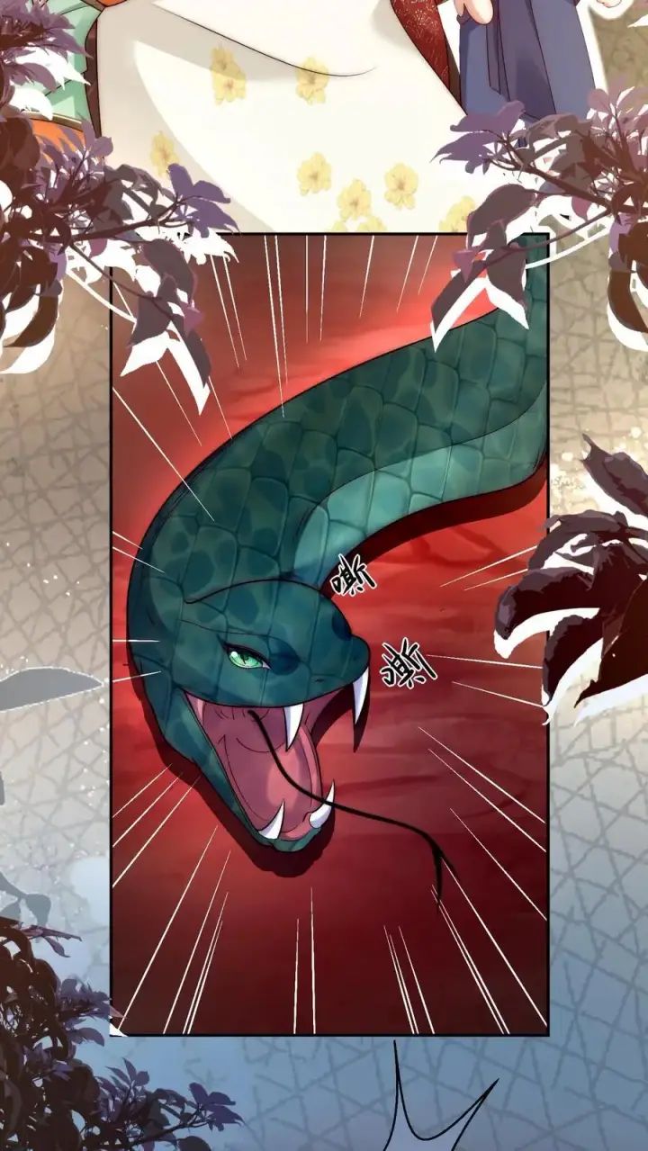 漫画《小师妹明明超强却过分沙雕》第72话 守护兽真的太没有排面了第4张图