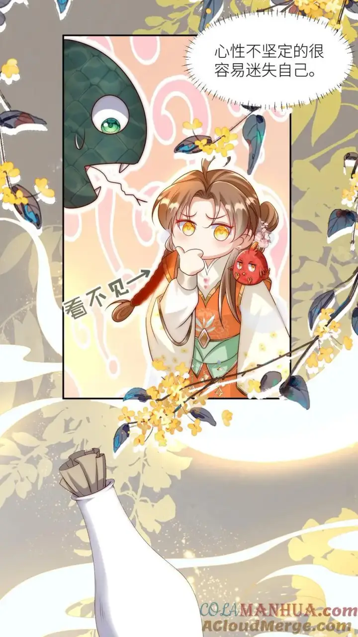 漫画《小师妹明明超强却过分沙雕》第72话 守护兽真的太没有排面了第7张图