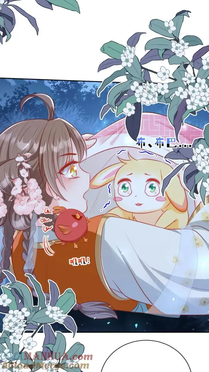 漫画《小师妹明明超强却过分沙雕》第75话 我才不要云鹊的二手货第17张图