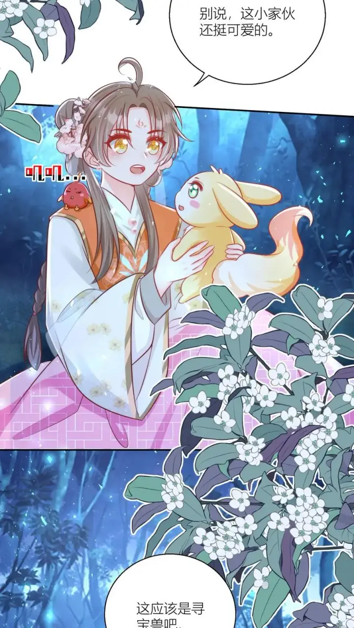 漫画《小师妹明明超强却过分沙雕》第75话 我才不要云鹊的二手货第18张图